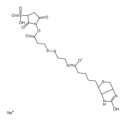 Sulfo-NHS-SS-Biotin sodium 
