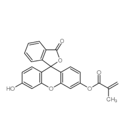 荧光素O-甲基丙烯酸酯 