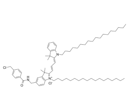 CM-DiI 