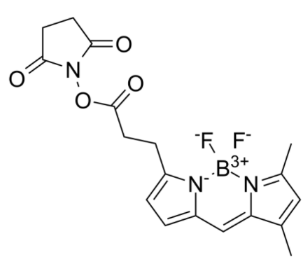 BDP FL NHS Ester 
