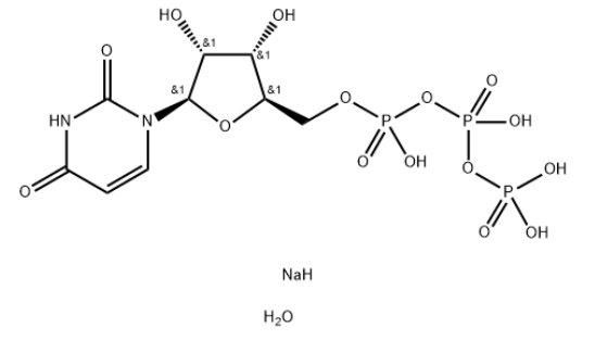 尿苷-5'-三磷酸三钠盐二水合物，CAS号：116295-90-0