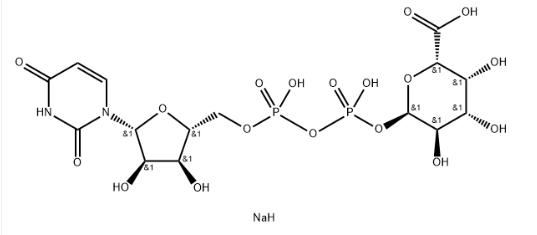 CAS号：148407-07-2，UDP-galacturonic acid，UDP-GalA