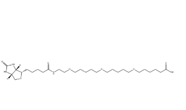 1352814-10-8，(+)-Biotin-PEG6-CH2CH2COOH