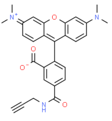 5-isomer TAMRA alkyne 