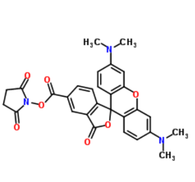 5(6)-羧基四甲基罗丹明琥珀酰亚胺酯	 