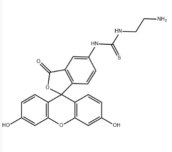 5-FITC-C2-amine