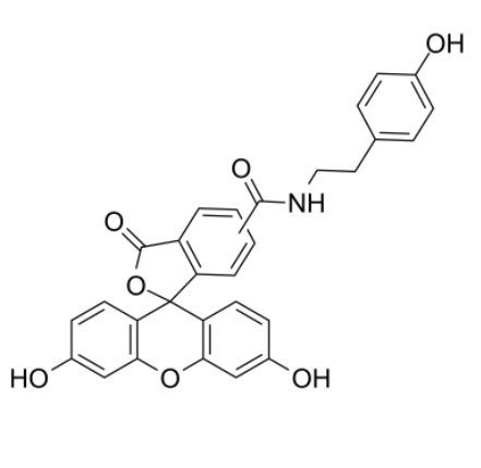 Fluorescein tyramide 