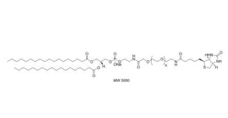 DSPE-PEG-Biotin (MW 1000) 