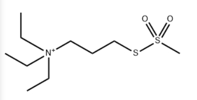 MTS-PtrEA