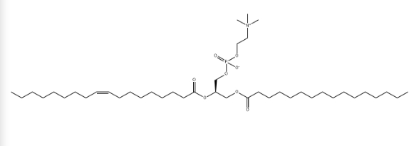 POPC，CAS：26853-31-6，1-棕榈酰基-2-油酰基卵磷脂.png