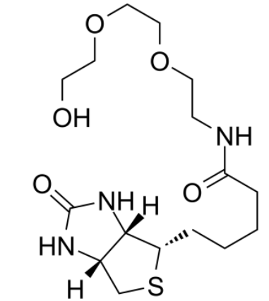 	Biotin-PEG3-alcohol  