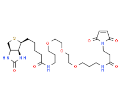 生物素-PEG3-马来酰亚胺	 