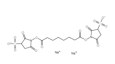 BS3 Crosslinker disodium 