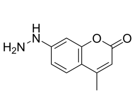 Coumarin hydrazine 