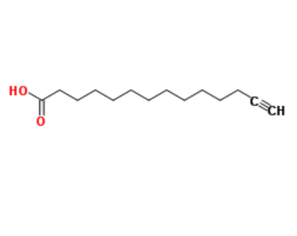 Alkynyl myristic acid 