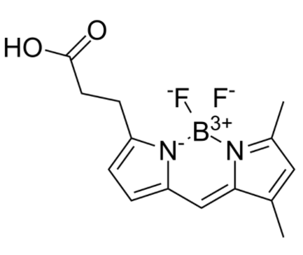 3-Bodipy-propanoic Acid 
