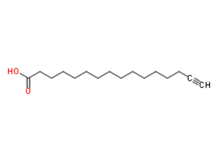 Alkynyl Palmitic Acid 