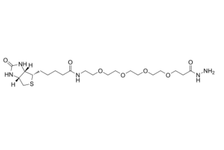 Biotin-PEG4-Hydrazide 
