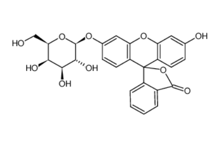 荧光黄单-β-D-半乳糖苷	 