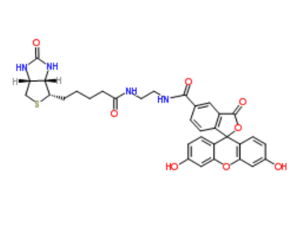 BIOTIN-4-FLUORESCEIN 