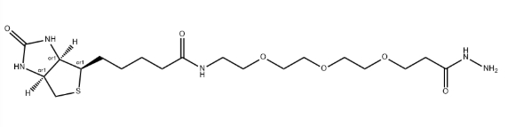 Biotin-PEG3-hydrazide
