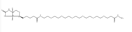 Biotin-PEG6-hydrazide