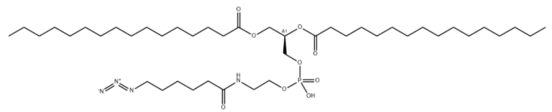 DPPE-Azide 