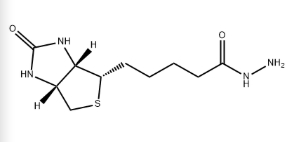 Biotin-hydrazide-HCl