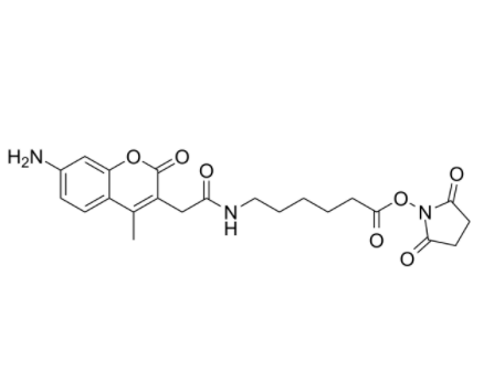 AMCA-X 琥珀酰亚胺酯	 
