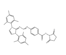 BB1-NHS ester 