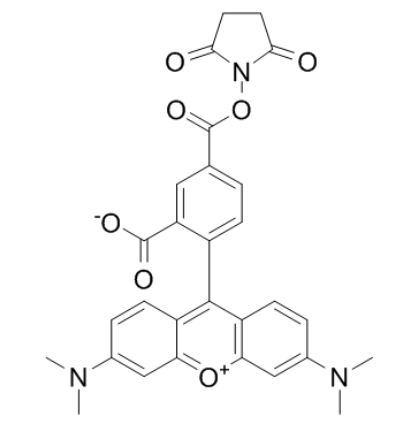 5-羧基四甲基罗丹明琥珀酰亚胺酯	 