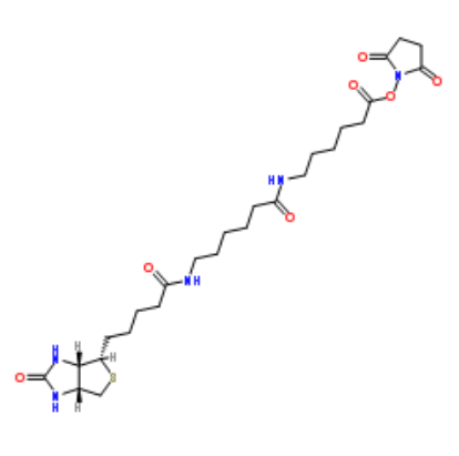 Biotin-LC-LC-NHS 