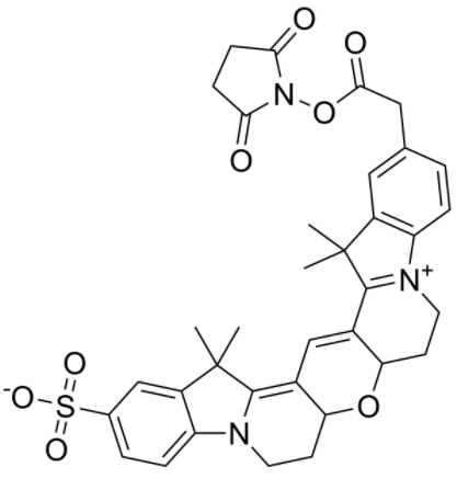 Cy3B NHS ester 