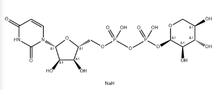 CAS号108320-89-4，3616-06-6，UDP-Xylose，UDP-Xyl，UDP-木糖.png