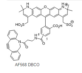 AF568-DBCO 