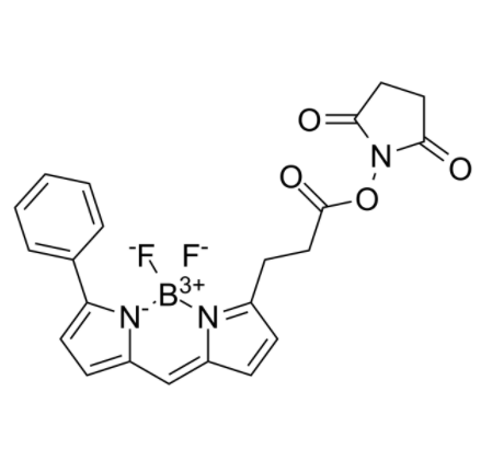 BIODIPY R6G ester 