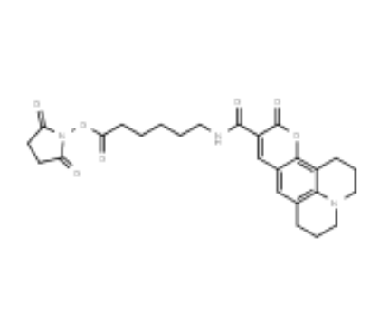 Coumarin-343 X NHS ester 