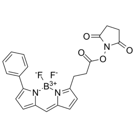 	BIODIPY R6G ester 