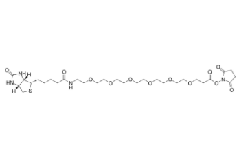 Biotin-PEG6-NHS ester 