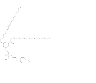 MPEG-DSPE