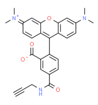 5-isomer TAMRA alkyne 