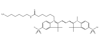 磺化Cyanine3氨基