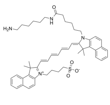 ICG-amine 