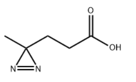 3-甲基-3H-双吖丙啶-3-丙酸
