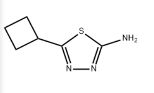 5-环丁基-1,3,4-噻二唑-2-胺