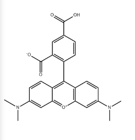 5-TAMRA，CAS号91809-66-4.png