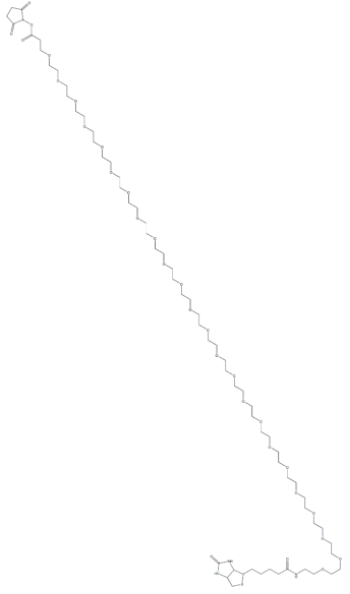 (+)-Biotin-PEG24-NHS Ester   