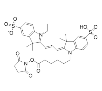 CY3-NHS酯	 