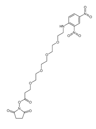 DNP-PEG4-NHS ester 