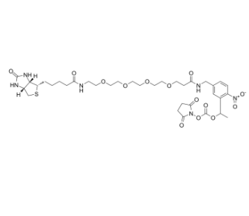 PC-Biotin-PEG4-NHS carbonate 
